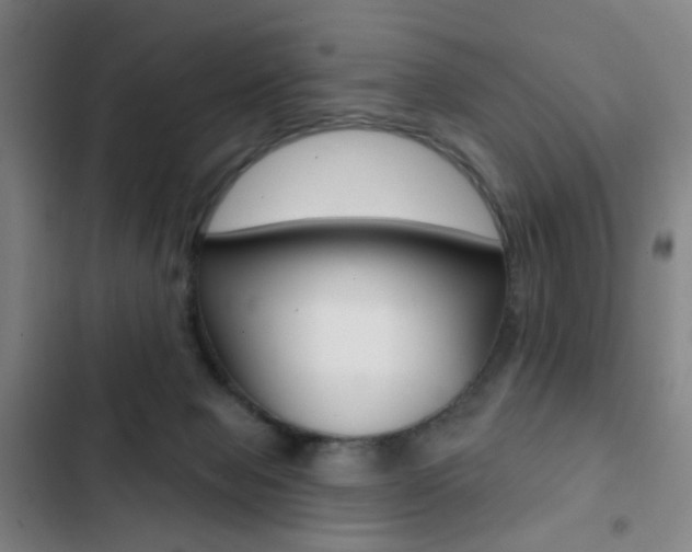 X0000103260077200808291053