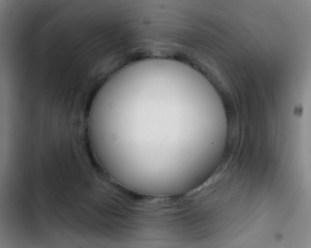 X0000103260078200808291053