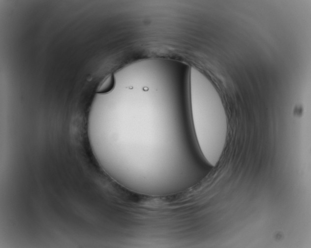 X0000103260079200808291053