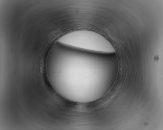 X0000103260080200808291053