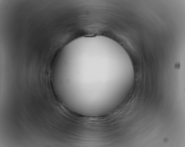 X0000103260081200808291053