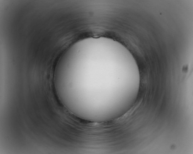 X0000103260082200808291053