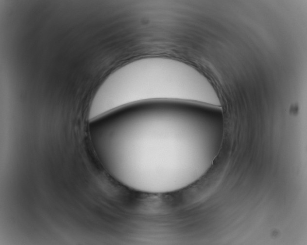 X0000103260083200808291053