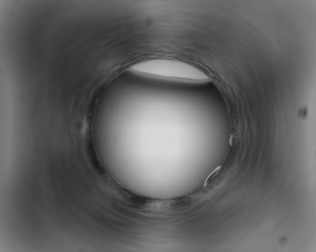 X0000103260084200808291053