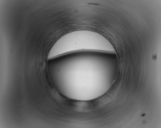 X0000103260085200808291053