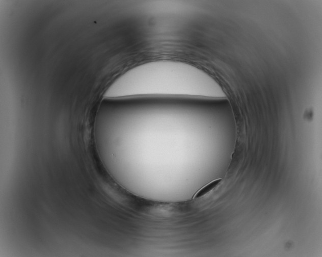 X0000103260086200808291053