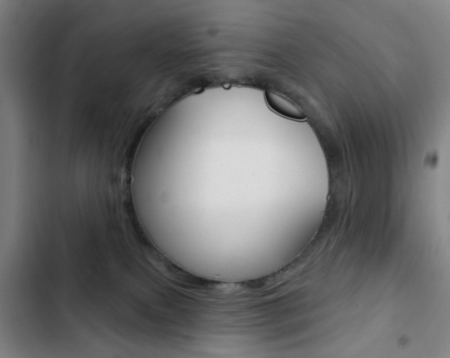 X0000103260087200808291053