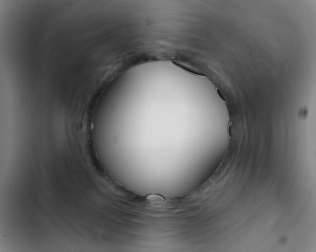 X0000103260088200808291053