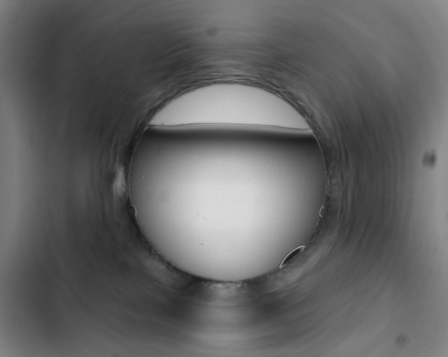 X0000103260089200808291053