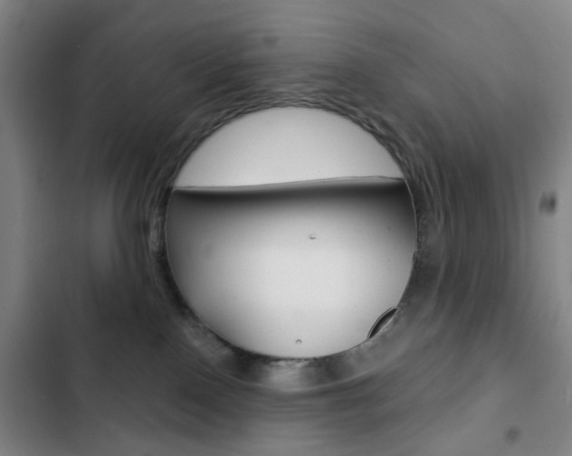 X0000103260090200808291053