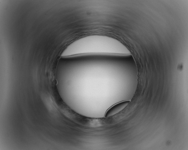 X0000103260091200808291053