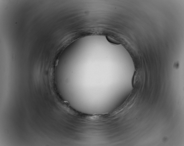 X0000103260092200808291053