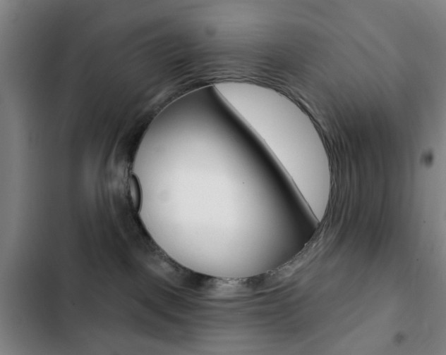 X0000103260093200808291053