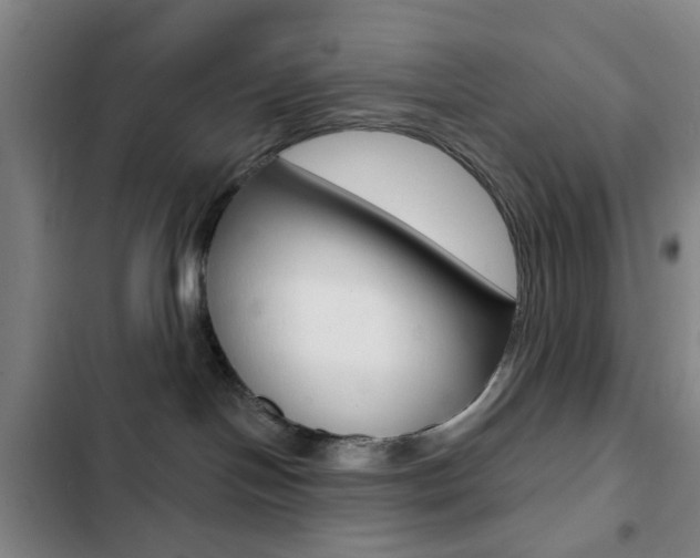 X0000103260094200808291053