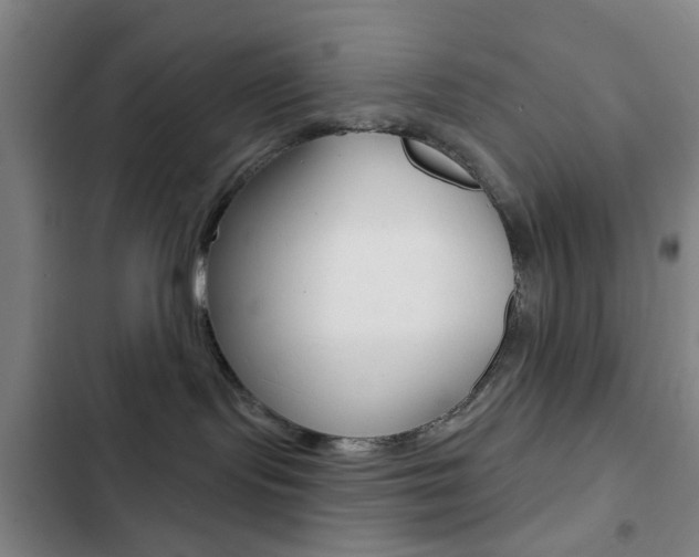 X0000103260095200808291053