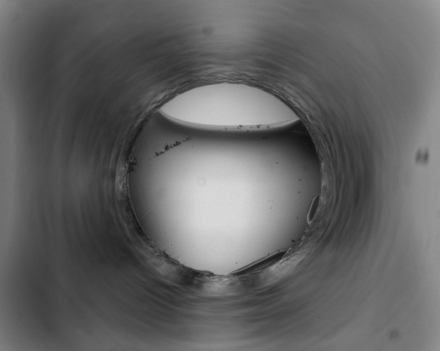 X0000103260096200808291053