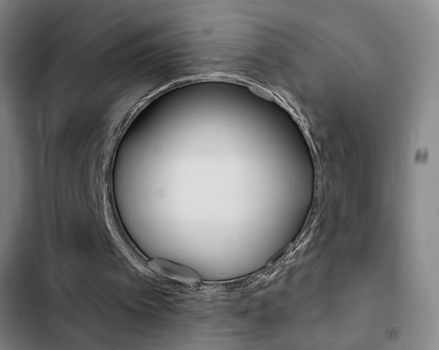 X0000103260097200808291052