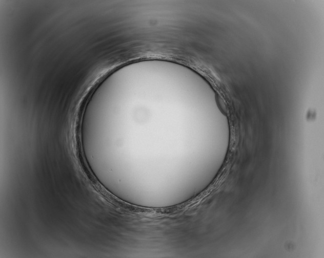 X0000103260098200808291052