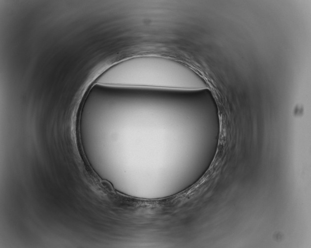 X0000103260099200808291052