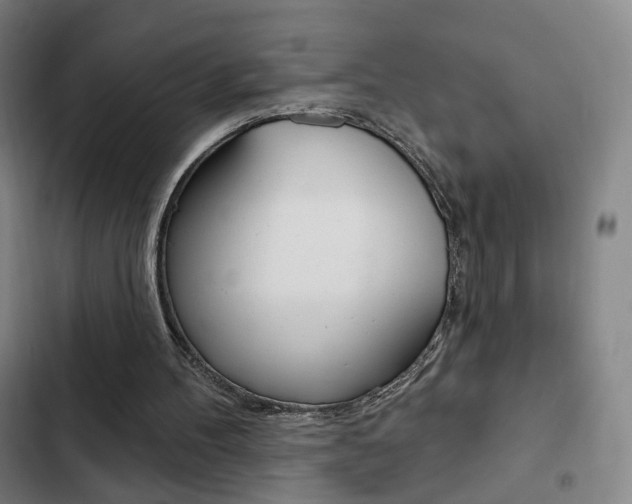 X0000103260100200808291052