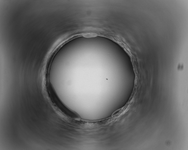 X0000103260101200808291052