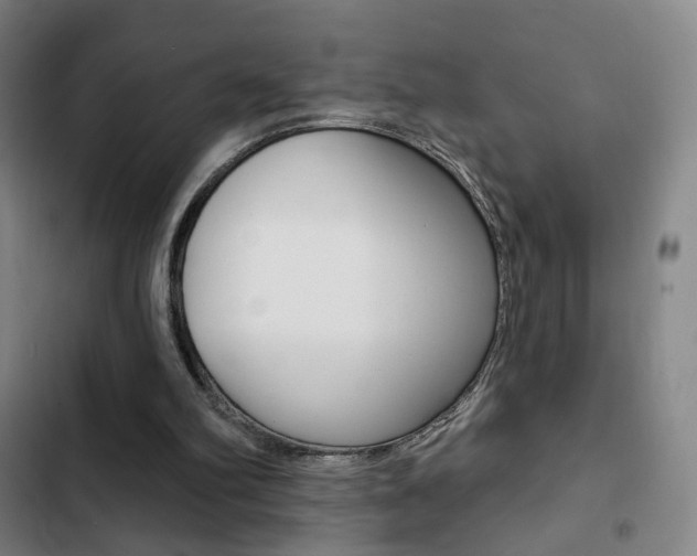 X0000103260102200808291052