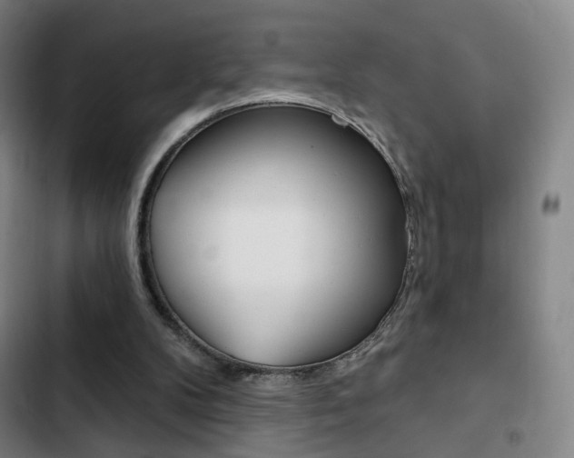 X0000103260104200808291052