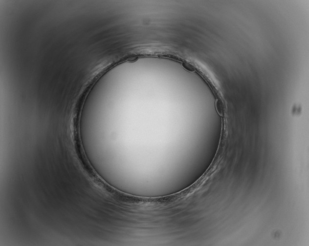 X0000103260105200808291052