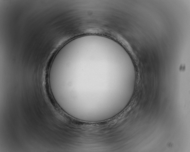 X0000103260106200808291052