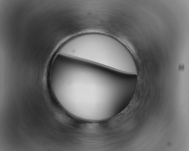 X0000103260108200808291052