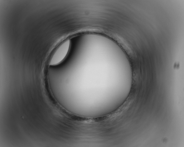 X0000103260112200808291052