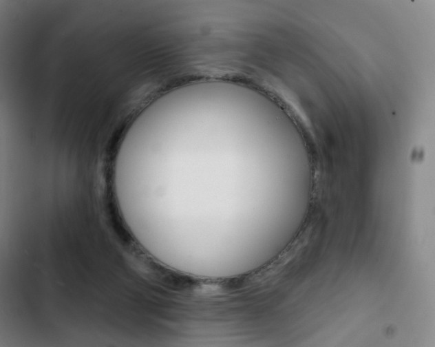 X0000103260114200808291052