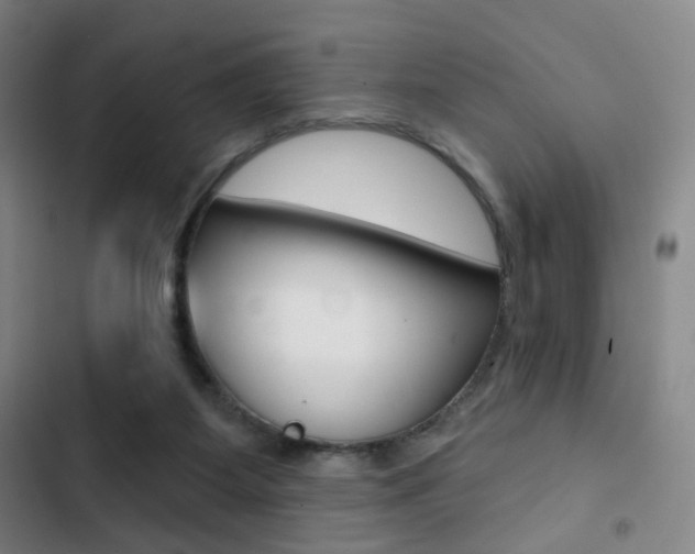 X0000103260115200808291052