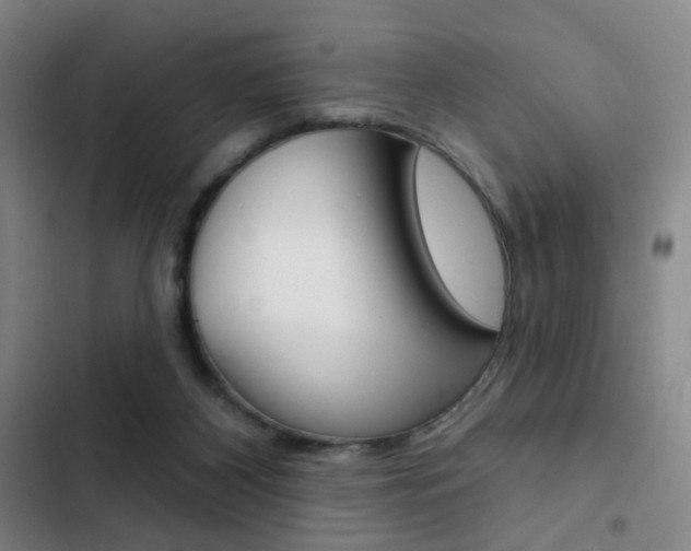 X0000103260116200808291052