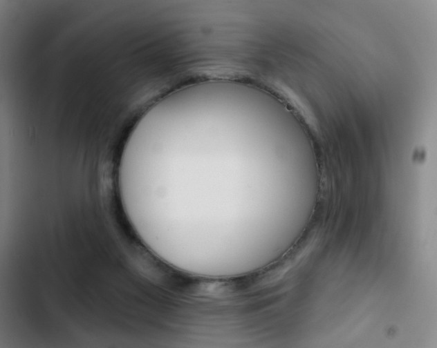 X0000103260117200808291052