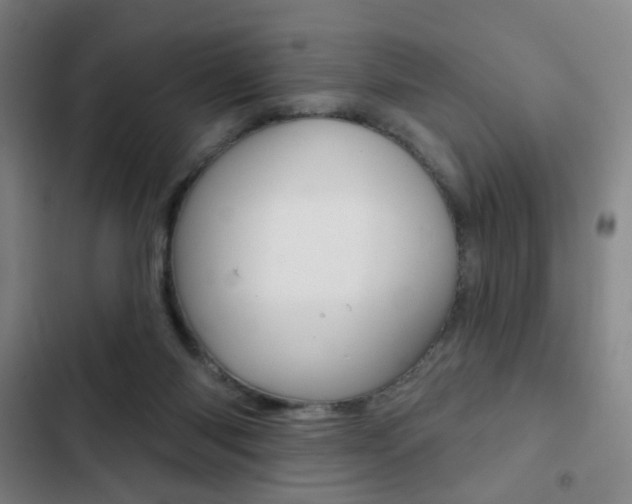 X0000103260118200808291052