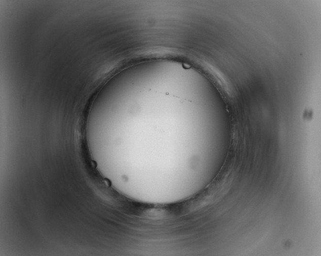 X0000103260119200808291052