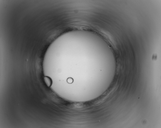 X0000103260121200808291052