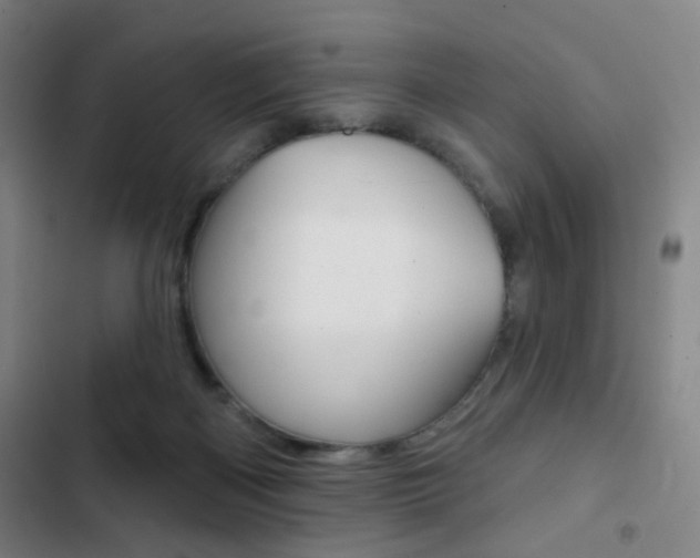 X0000103260122200808291052