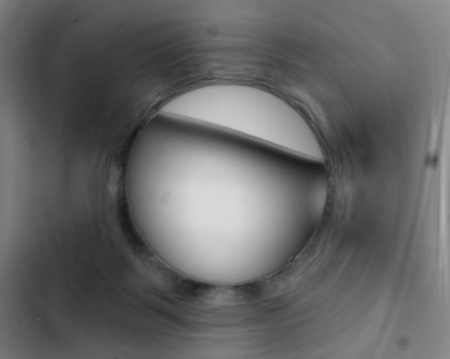 X0000103260123200808291052