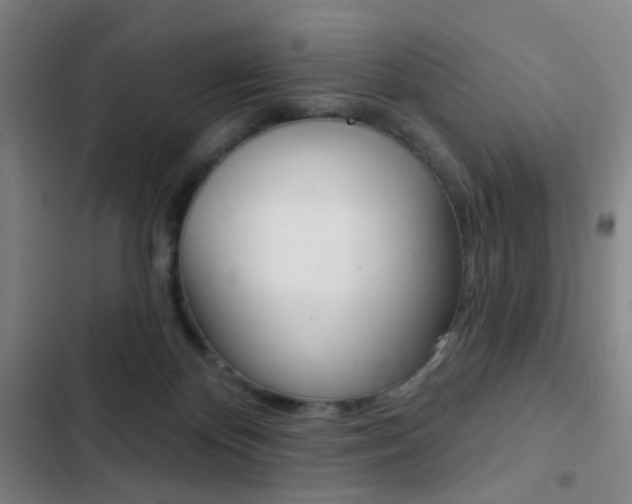 X0000103260124200808291052