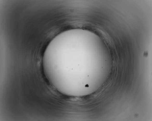 X0000103260125200808291052