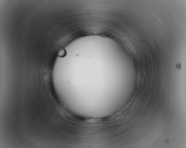 X0000103260126200808291052