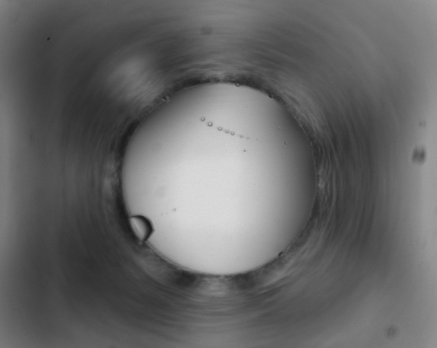 X0000103260127200808291052