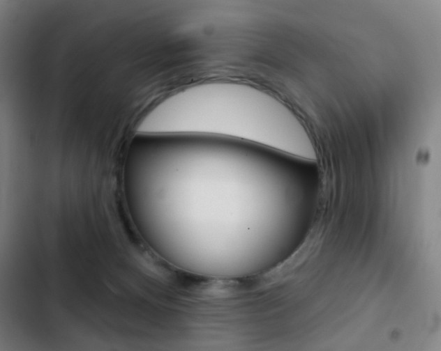 X0000103260128200808291052