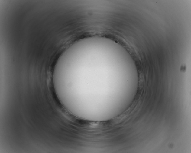 X0000103260130200808291052