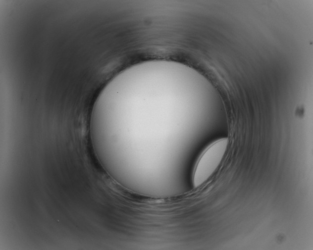 X0000103260131200808291052