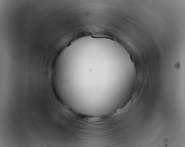 X0000103260132200808291052