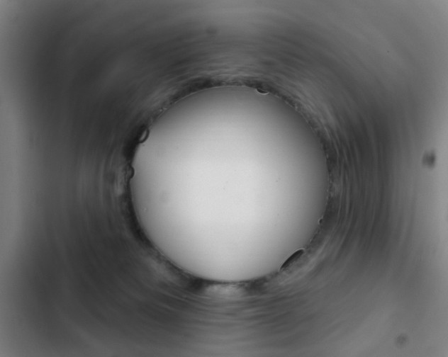 X0000103260133200808291052