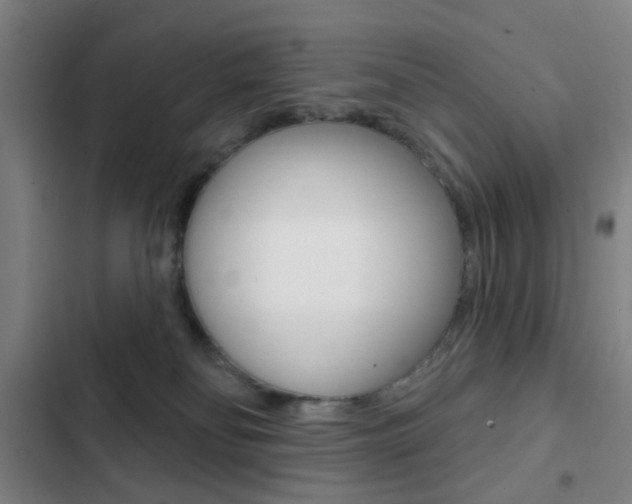 X0000103260134200808291052